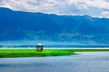 高家湖风光