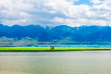 高家湖风光