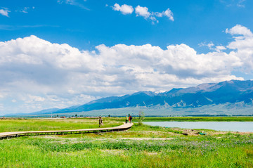 高家湖风光