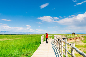 高家湖风光