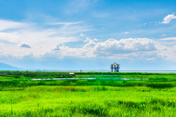 高家湖风光