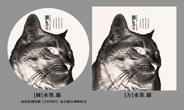 貓