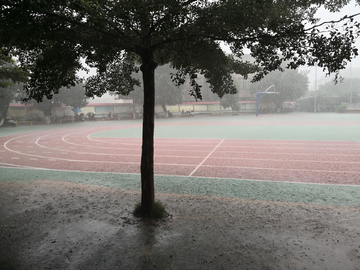 大雨