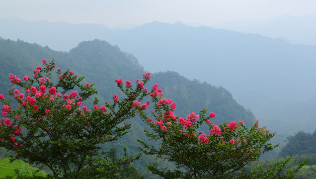 山区大山