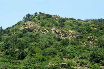 花果山