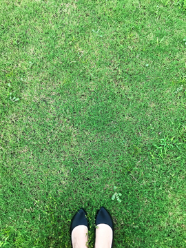脚与草地