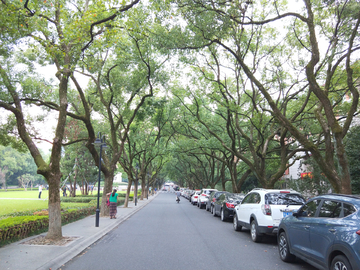 浙江大学校园景色