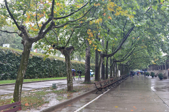 雨后道路