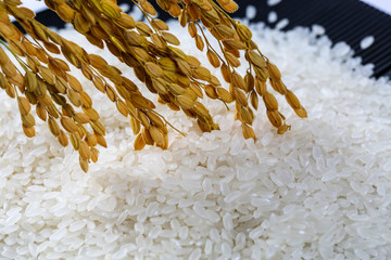 米粒稻香米