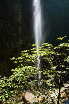 云龙地缝风景