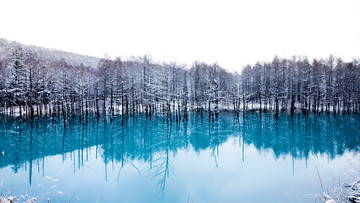 雪景