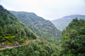 山区树林