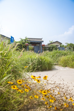 生态小院