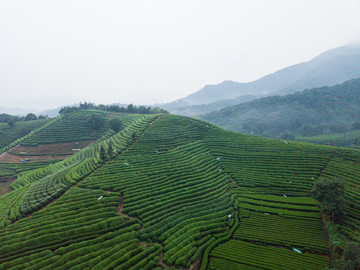 龙坞景色