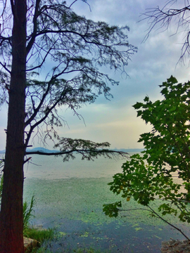 武汉东湖暮色风景