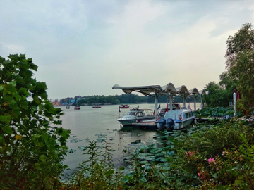 武汉东湖公园风景