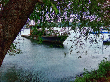 武汉东湖公园风景