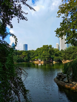 武汉中山公园 湖畔风景