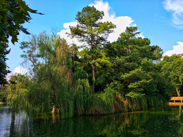 武汉中山公园 湖畔风景