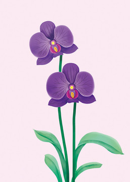 蝴蝶蘭手繪花卉素材PSD