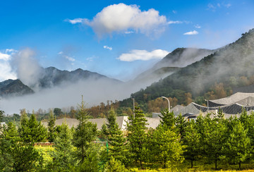 高山上的云雾