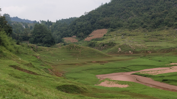 田野田园