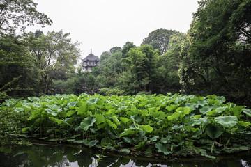 成都杜甫草堂