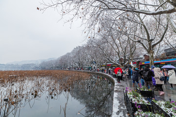 西湖雪景