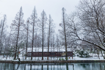 西湖雪景