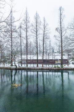 西湖雪景