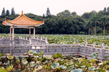 洪湖公園涼亭