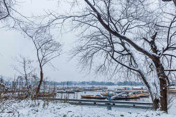 西湖雪景