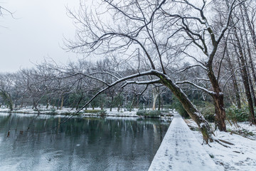 西湖雪景