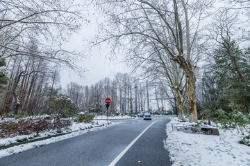 杭州雪景