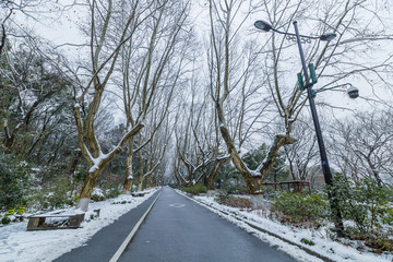 杭州雪景