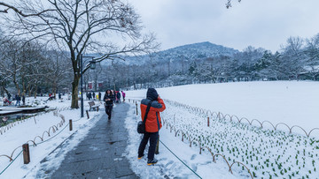 西湖雪景