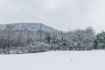 西湖雪景