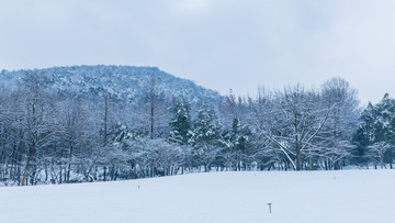 西湖雪景