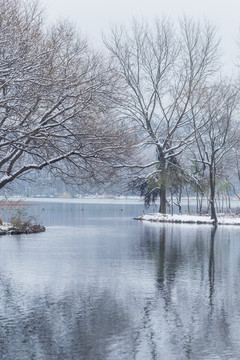 西湖雪景