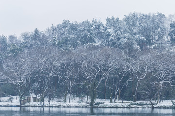 西湖雪景