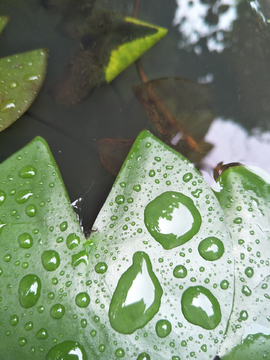 水珠