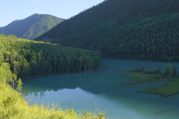 喀纳斯河卧龙湾河湾沙洲