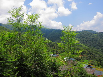 灵川山区