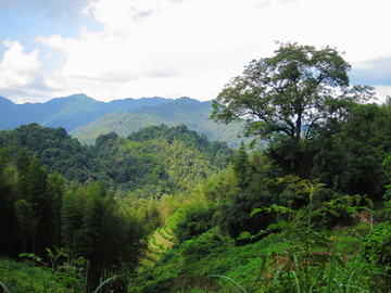 山区风光