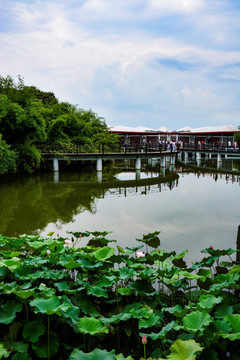 信阳南湾湖