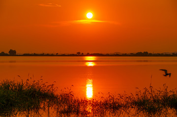 盛夏湖边日落夕阳