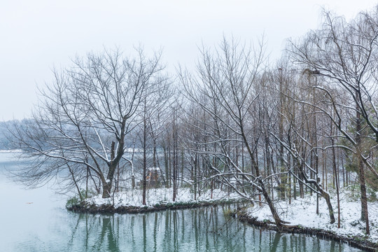 雪景