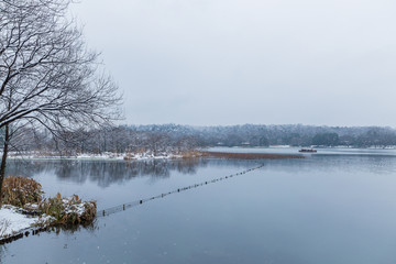 雪景