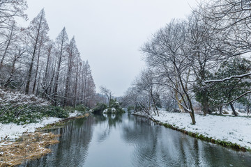 雪景