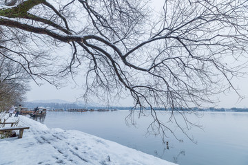 雪景